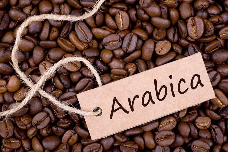 Cách uống cà phê Arabica rang mộc ngon nhất