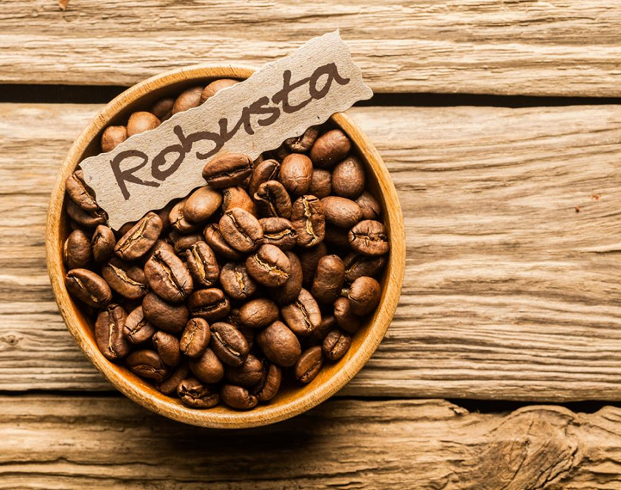 Đặc tính của cà phê robusta cần chú ý khi chế biến