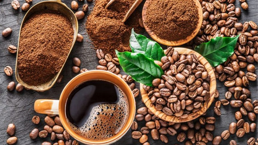 Uống cà phê organic thải độc và thanh lọc cơ thể