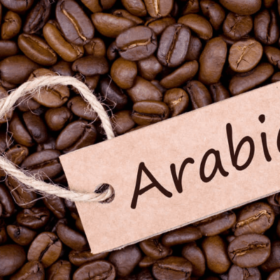 Cà phê Arabica rang mộc