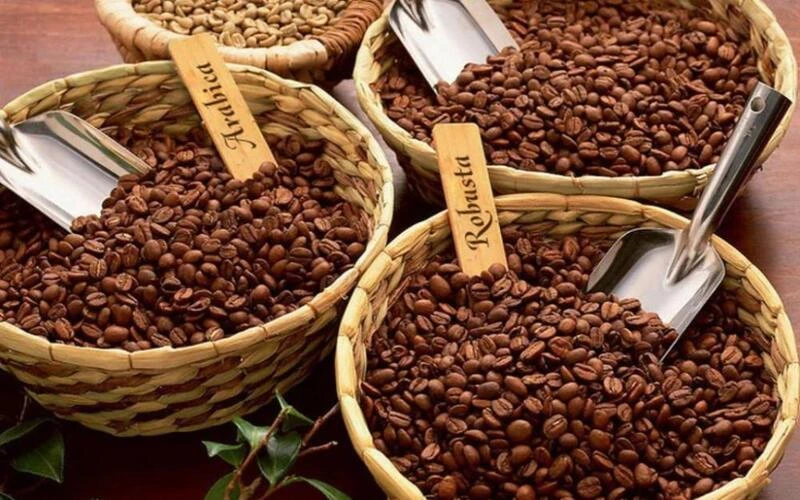 arabica-robusta