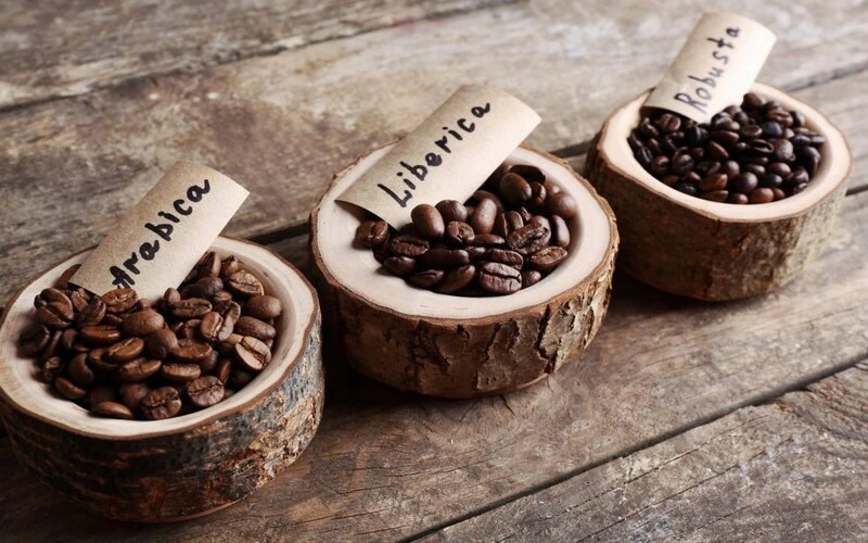 blend-arabica-va-robusta