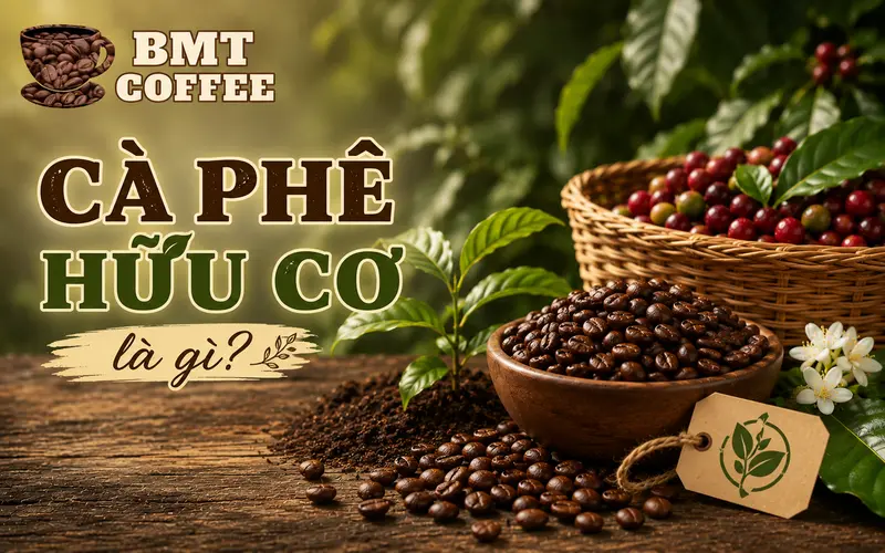 ca-phe-huu-co-la-gi