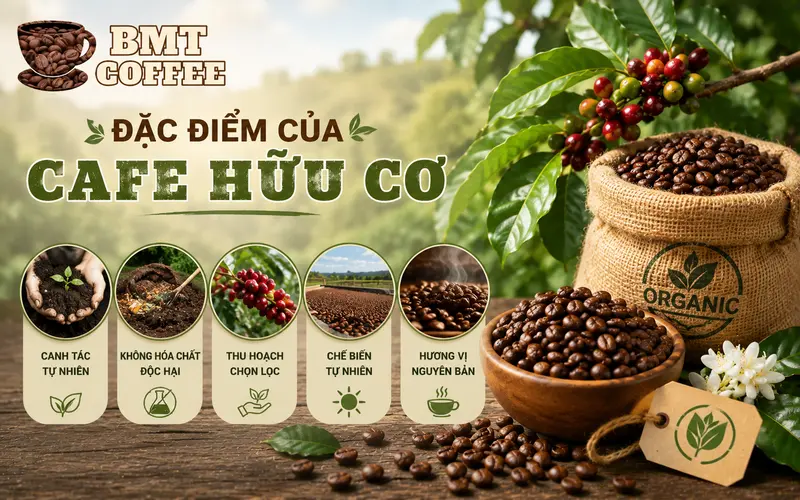 dac-diem-cua-cafe-huu-co