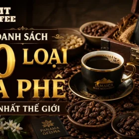 danh-sach-10-loai-ca-phe-dat-nhat-the-gioi