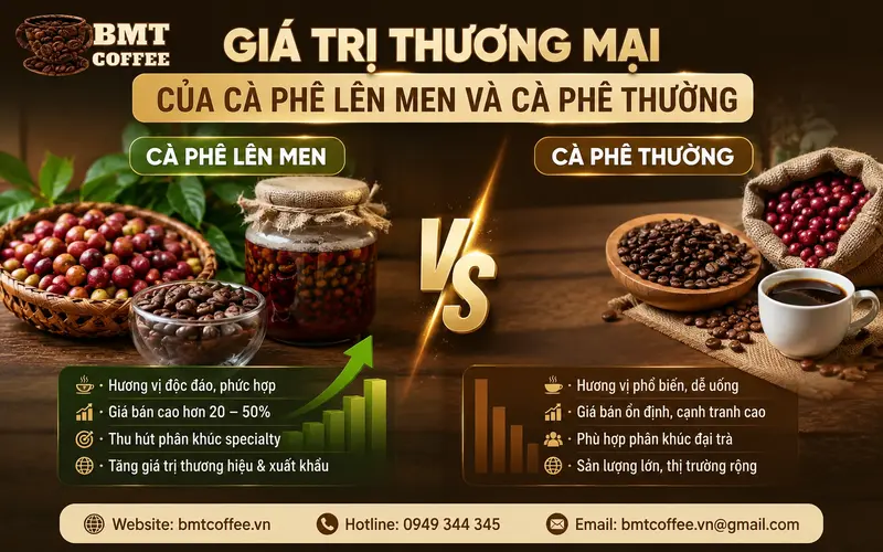 gia-tri-thuong-mai-cua-ca-phe-len-men-va-ca-phe-thuong