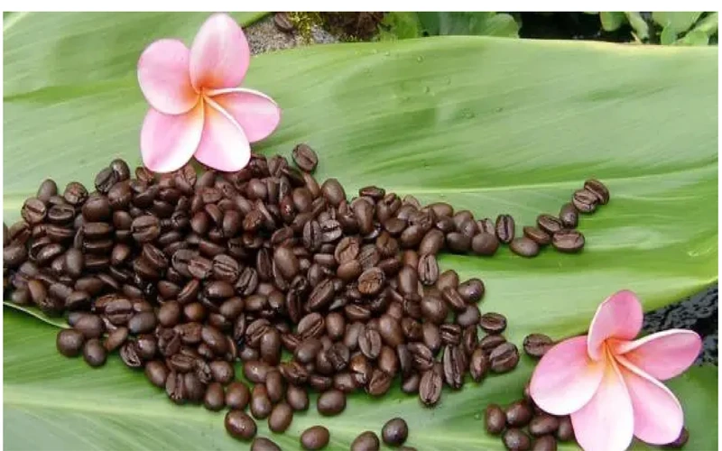 hawaiian-kona