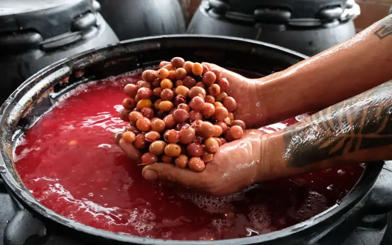 len-men-yem-khi-anaerobic-fermentation