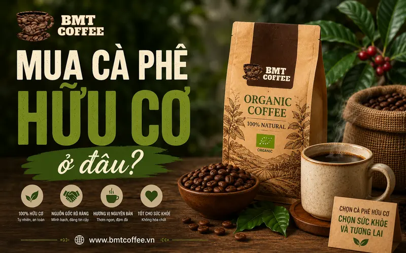 mua-ca-phe-huu-co-o-dau