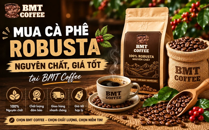 mua-ca-phe-robusta-tai-bmt-coffee