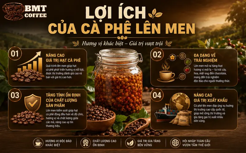 nhung-loi-ich-cua-ca-phe-len-men