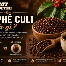 tim-hieu-ca-phe-culi