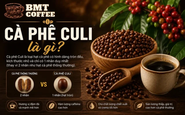 tim-hieu-ca-phe-culi