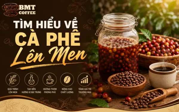tim-hieu-ca-phe-len-men