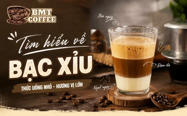tim-hieu-ve-bac-xiu