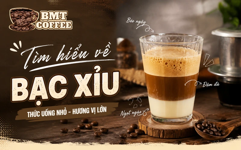 tim-hieu-ve-bac-xiu