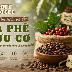 tim-hieu-ve-ca-phe-huu-co