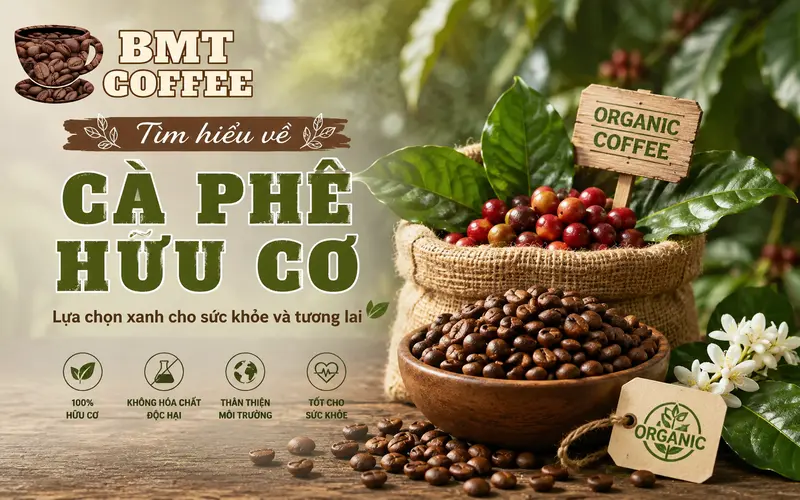 tim-hieu-ve-ca-phe-huu-co