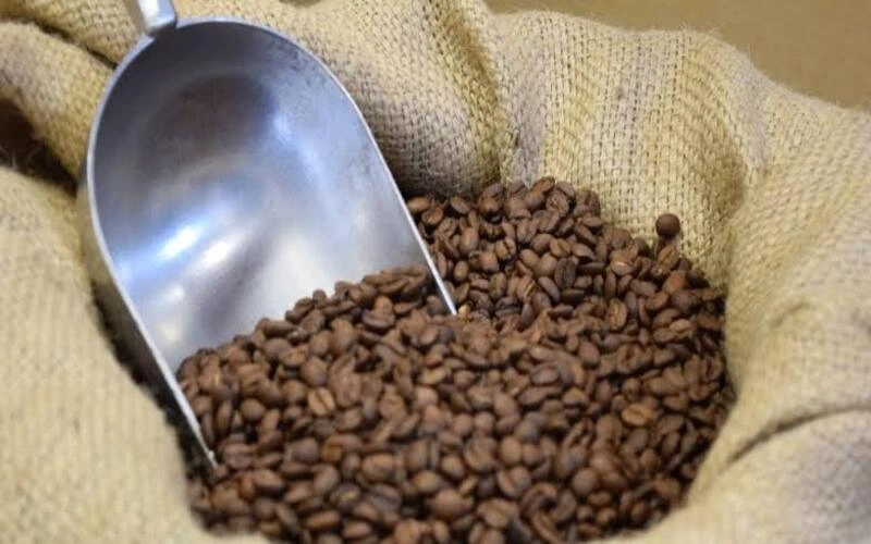 single-origin-coffee-co-nhuoc-diem-khong