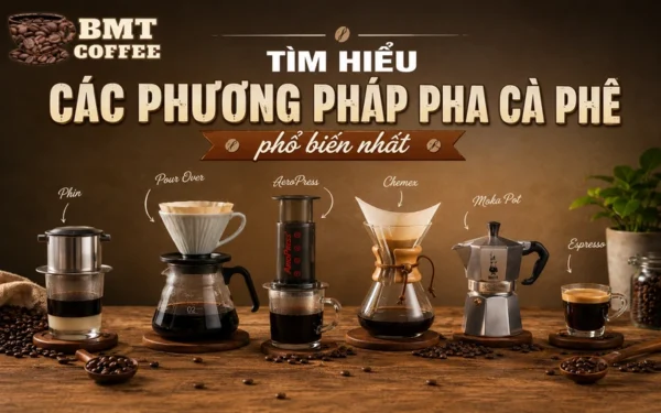 tim-hieu-cac-phuong-phap-pha-ca-phe