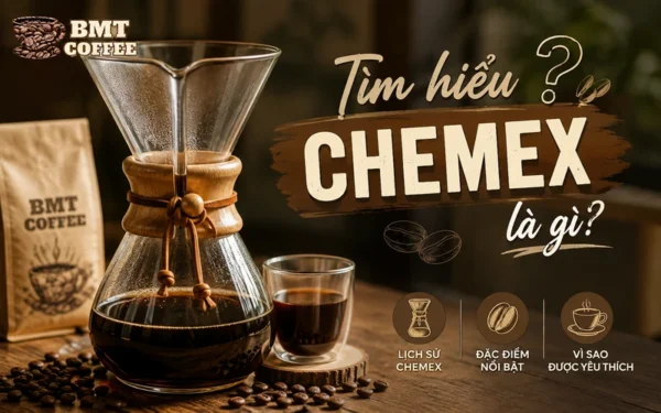 tim-hieu-chemex-la-gi