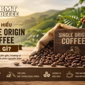 tim-hieu-single-origin-coffee-la-gi
