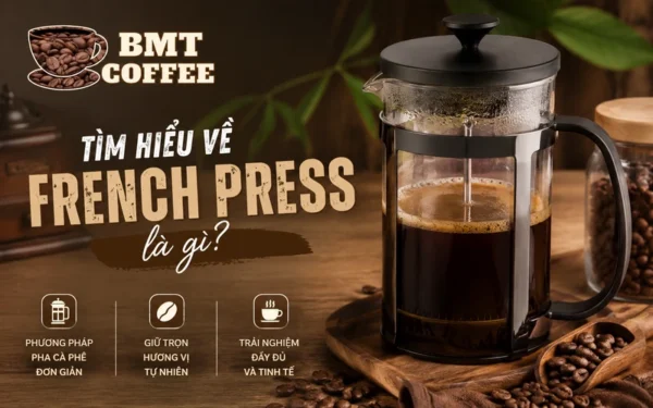 tim-hieu-ve-french-press-la-gi