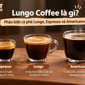 tim-hieu-lungo-coffee-la-gi